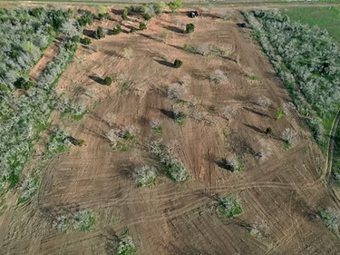 Construction Site Prep