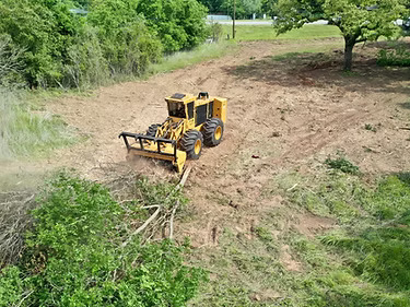 Tree & Stump Removal