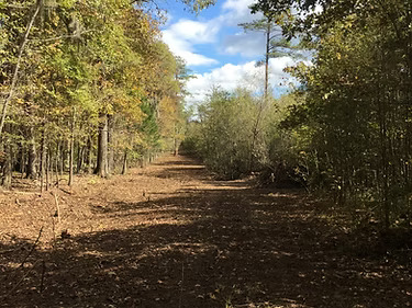 Fence & Utility Rows