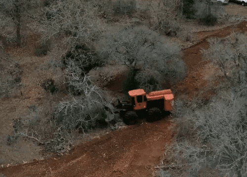 Land clearing