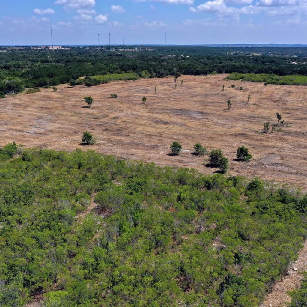 Pierce Land Clearing land clearing 1 in Texas