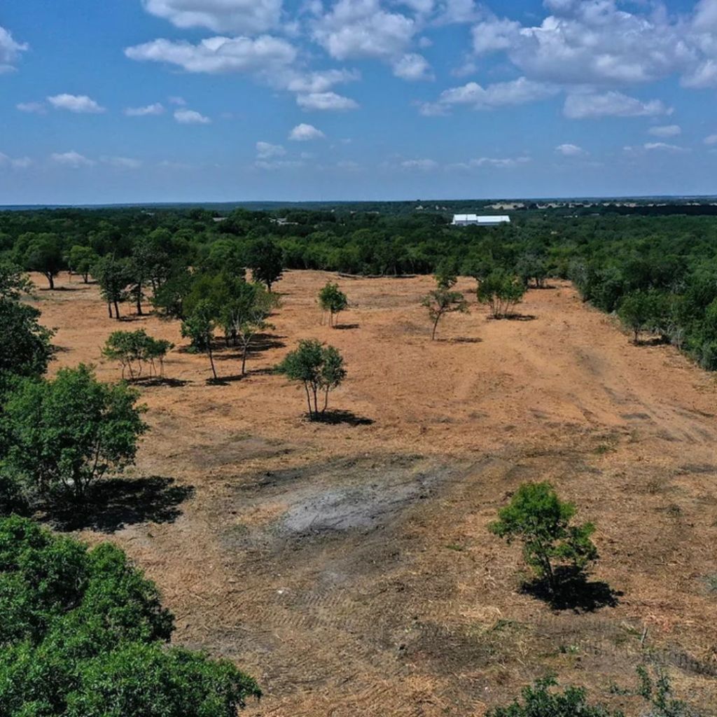 Pierce Land Clearing land clearing 6 in Texas