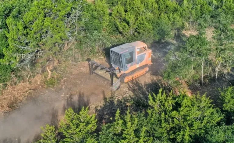 Land Clearing In Austin