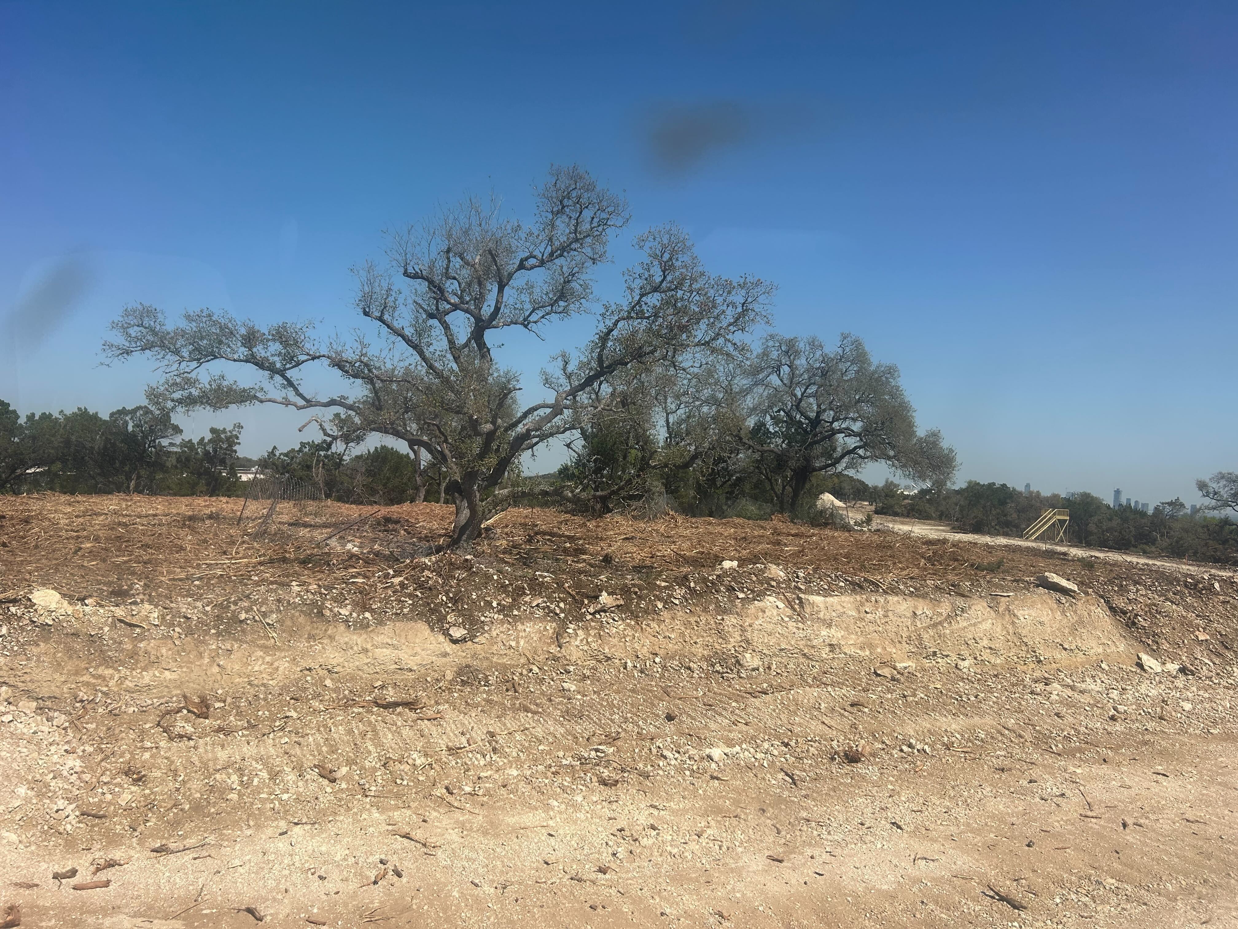 Ole Barko 930 b getting it done in Austin huge cedar piles5
