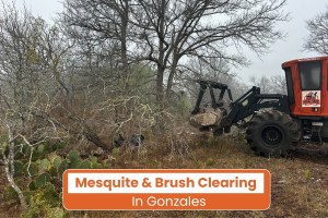 Brush Clearing in Gonzales