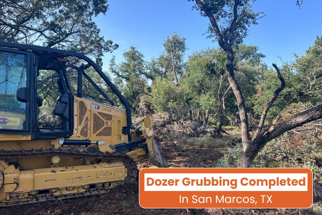 Dozer Grubbing in San Marcos