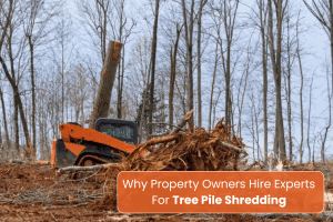 Tree Pile Shredding in Austin