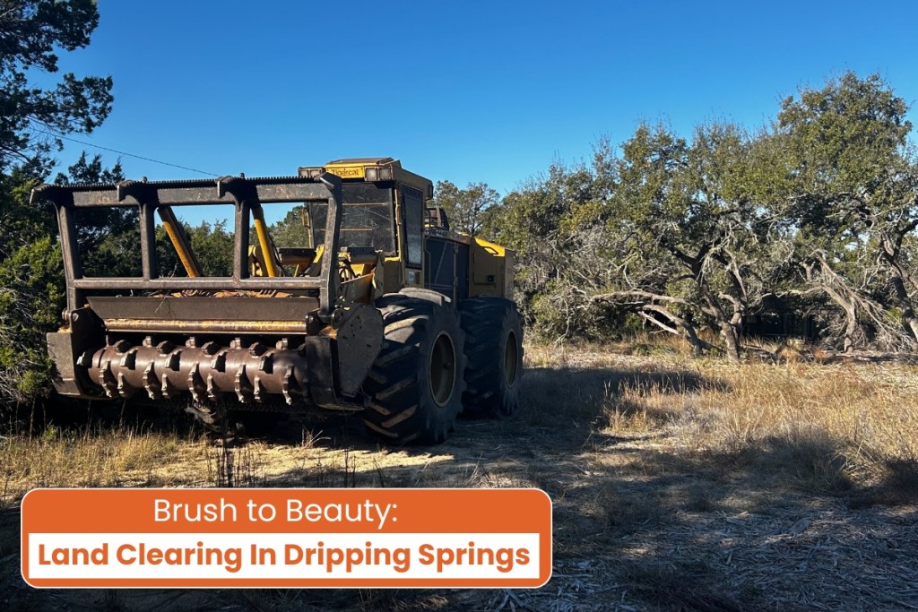 Land Clearing Dripping Springs