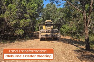 Cleburne’s Cedar Clearing