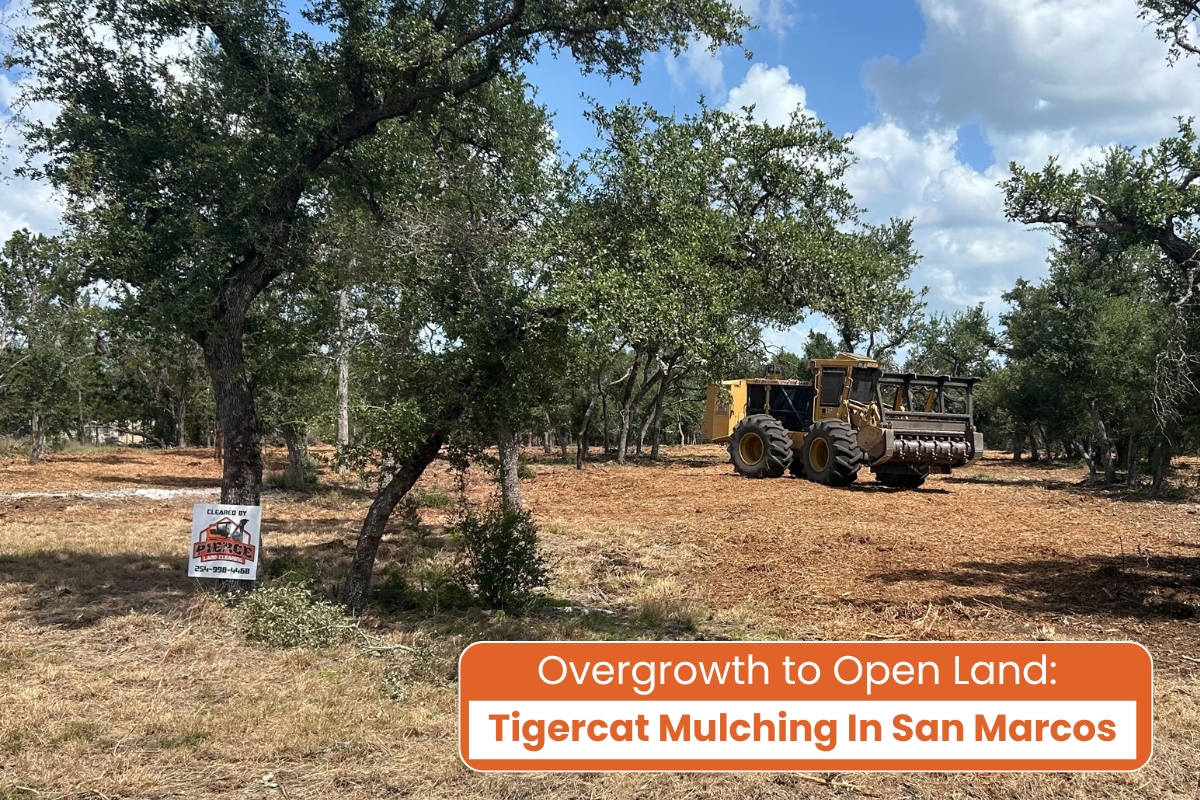 Mulching Project San Marcos