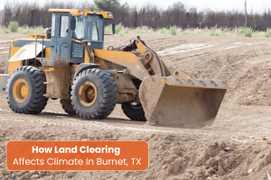Land Clearing Burnet