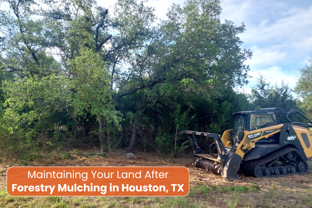 Land clearing Houston