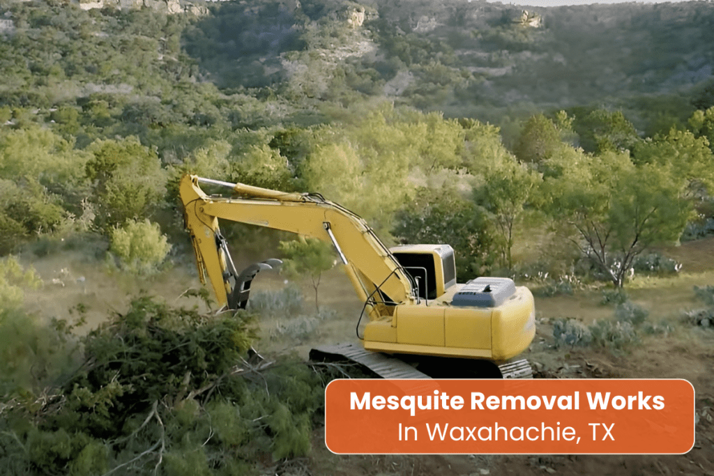 mesquite removal Waxahachie, TX