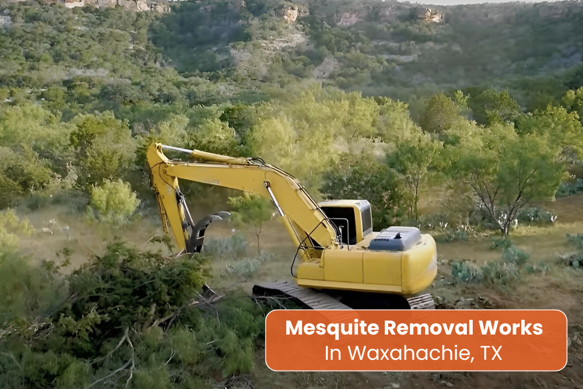 mesquite removal Waxahachie, TX