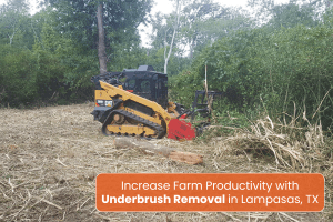 Underbrush Removal