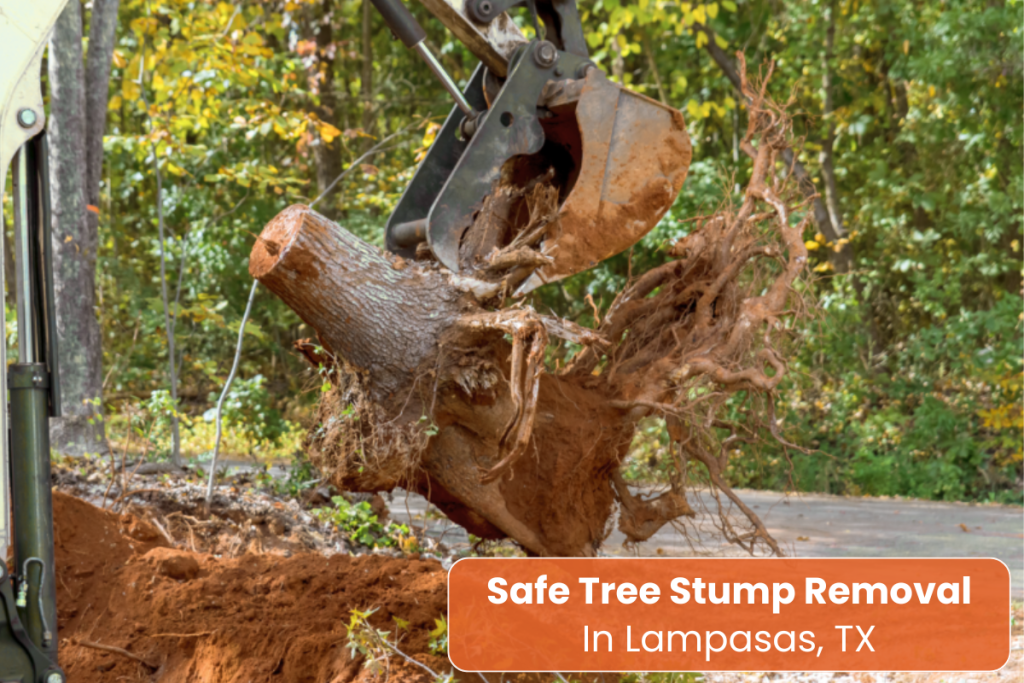 Tree Stump Removal-in Lampasas