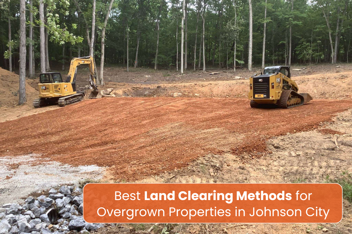 Overgrown Properties in Johnson City, TX