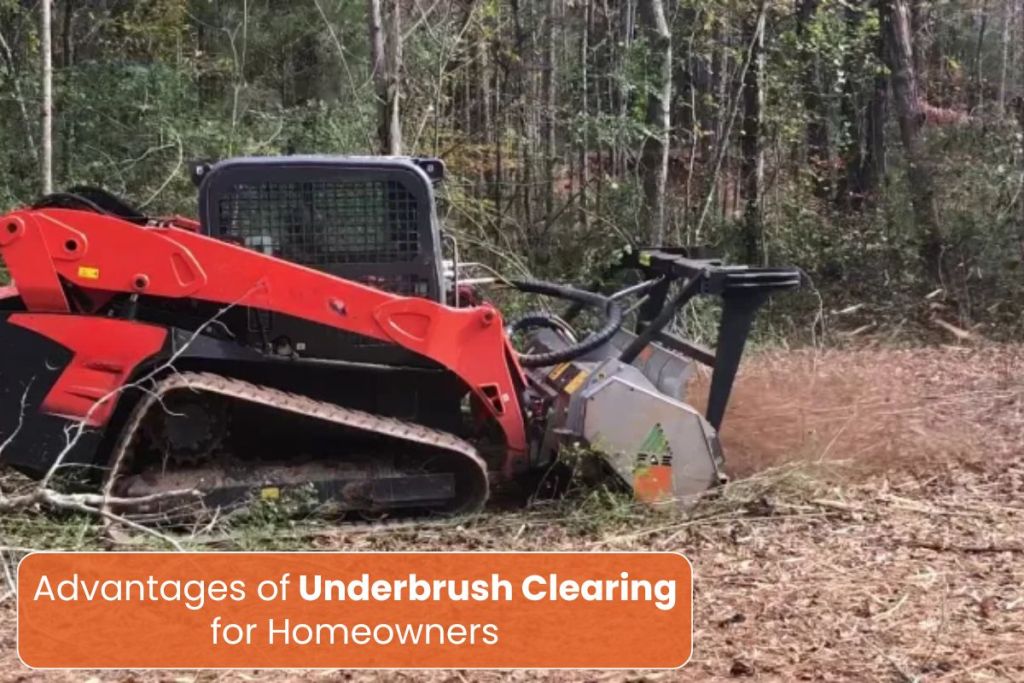 Underbrush Clearing