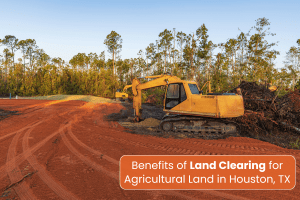 Land Clearing for Agricultural Land