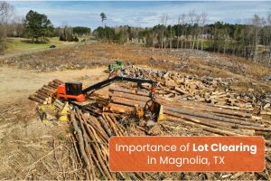 Lot clearing in Magnolia