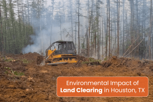 land clearing in houston