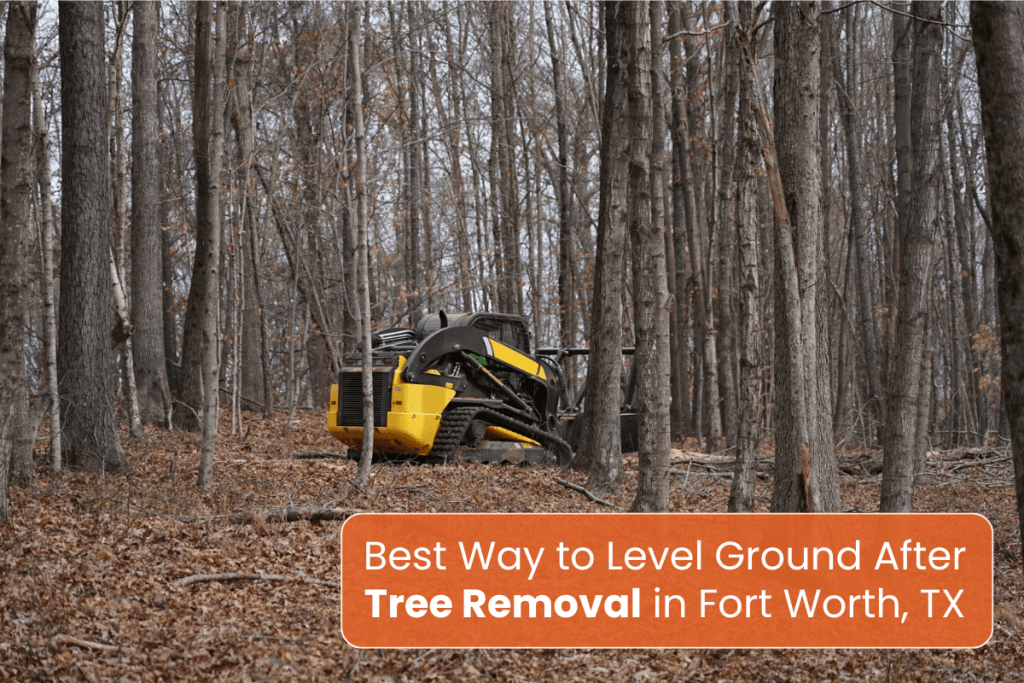Tree Removal in Fort Worth