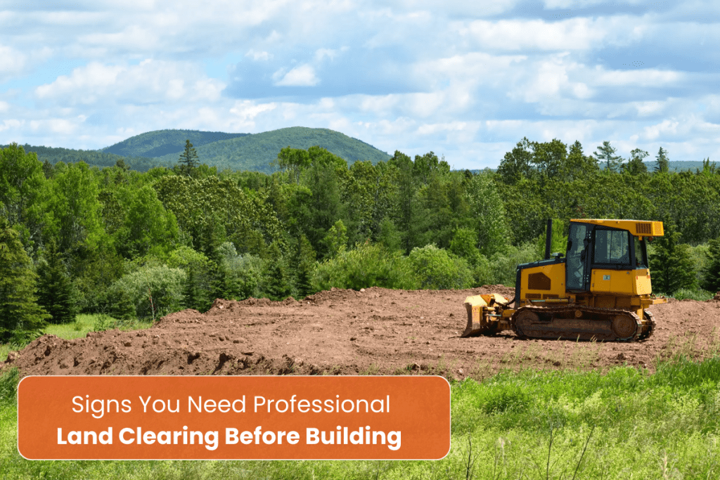 Land Clearing before building
