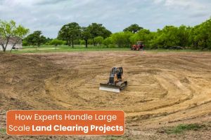 Land Clearing Projects in Georgetown