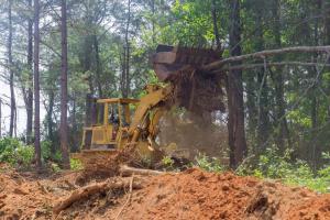 bulldozer removing trees in traditional land clearing