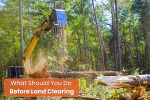 Land Clearing in Waco