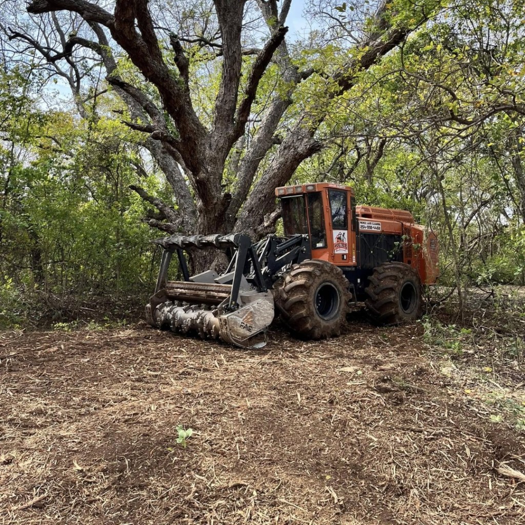 Forestry Mulching 6