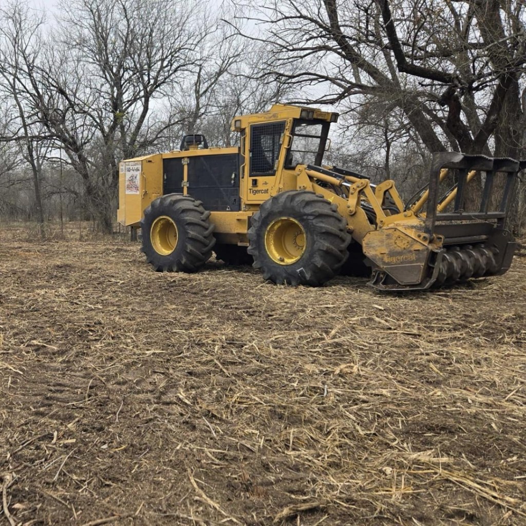 Forestry Mulching 19