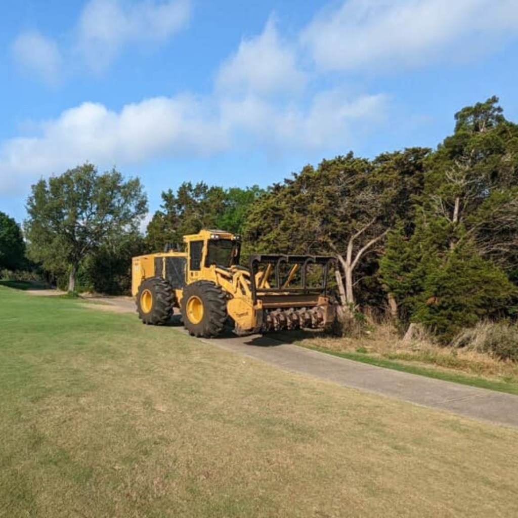 Land Clearing 3