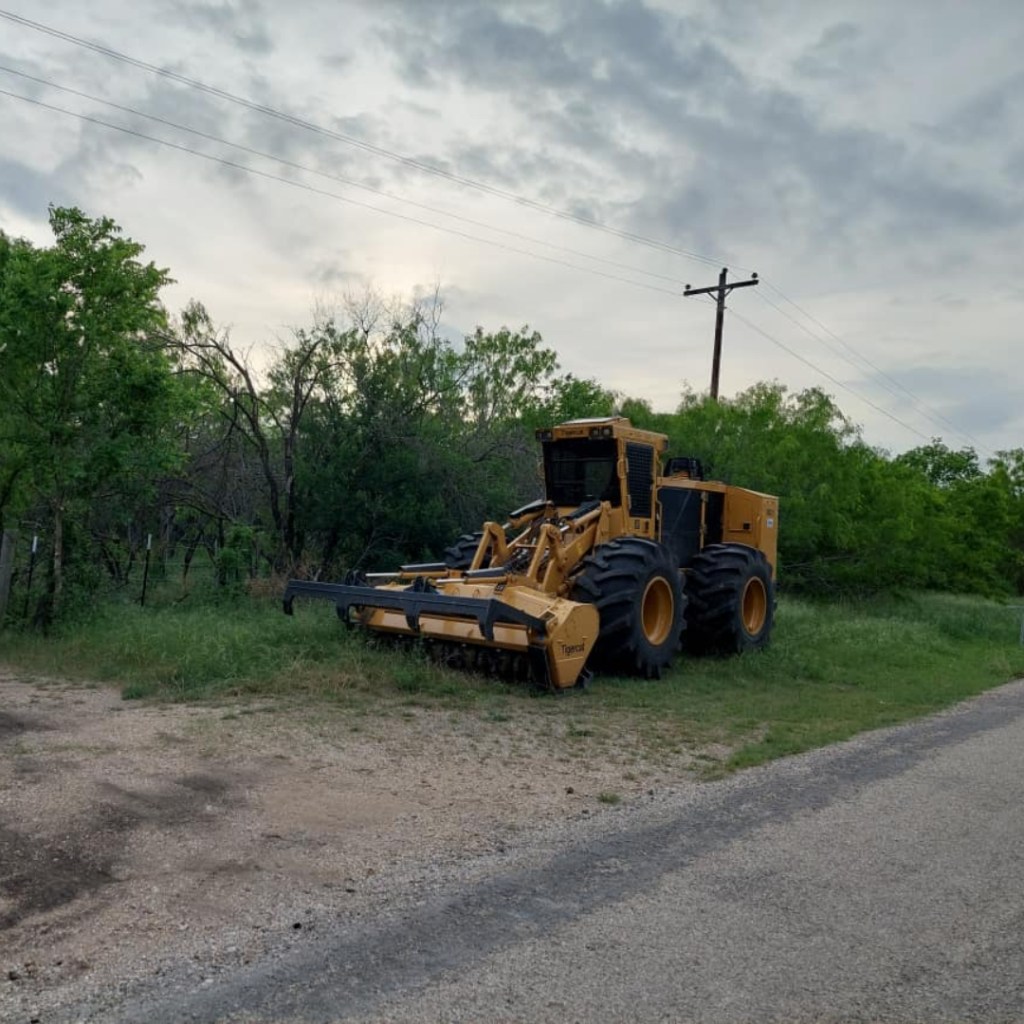 Land Clearing 4