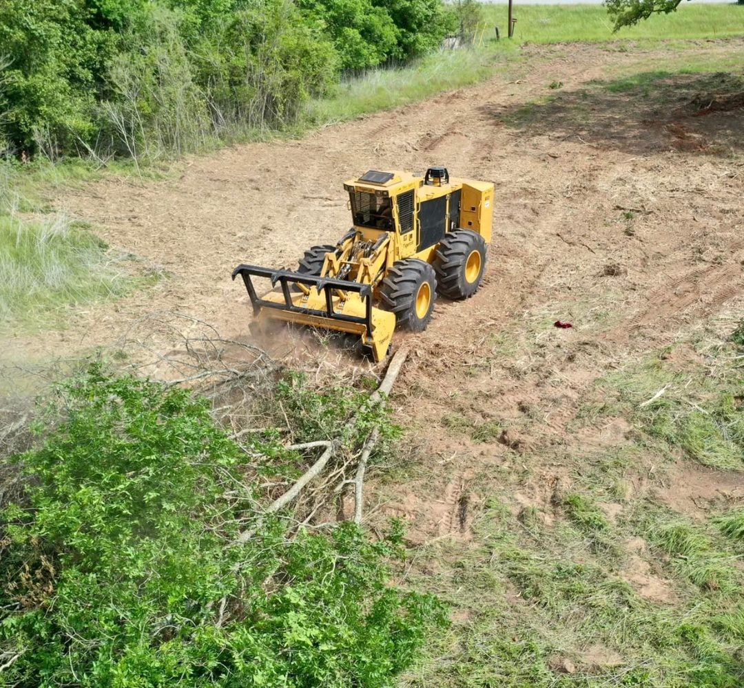 Tree Removal