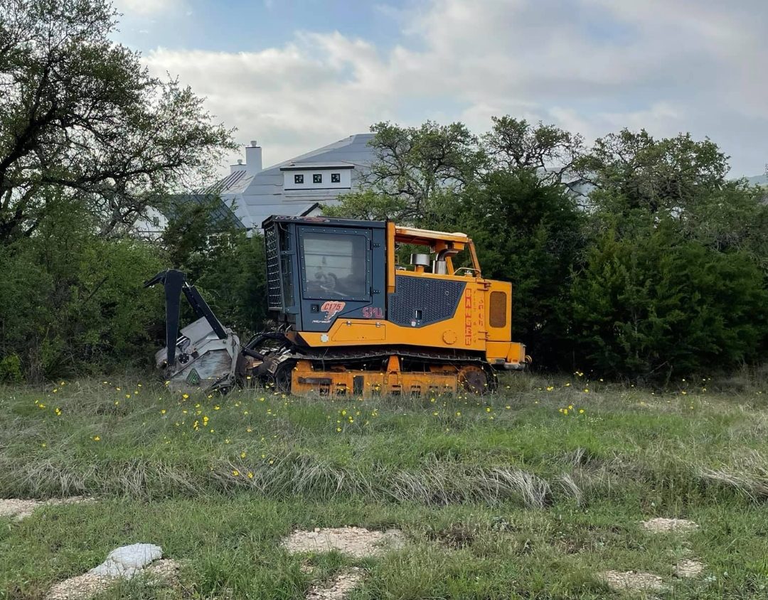 Cedar Tree Removal
