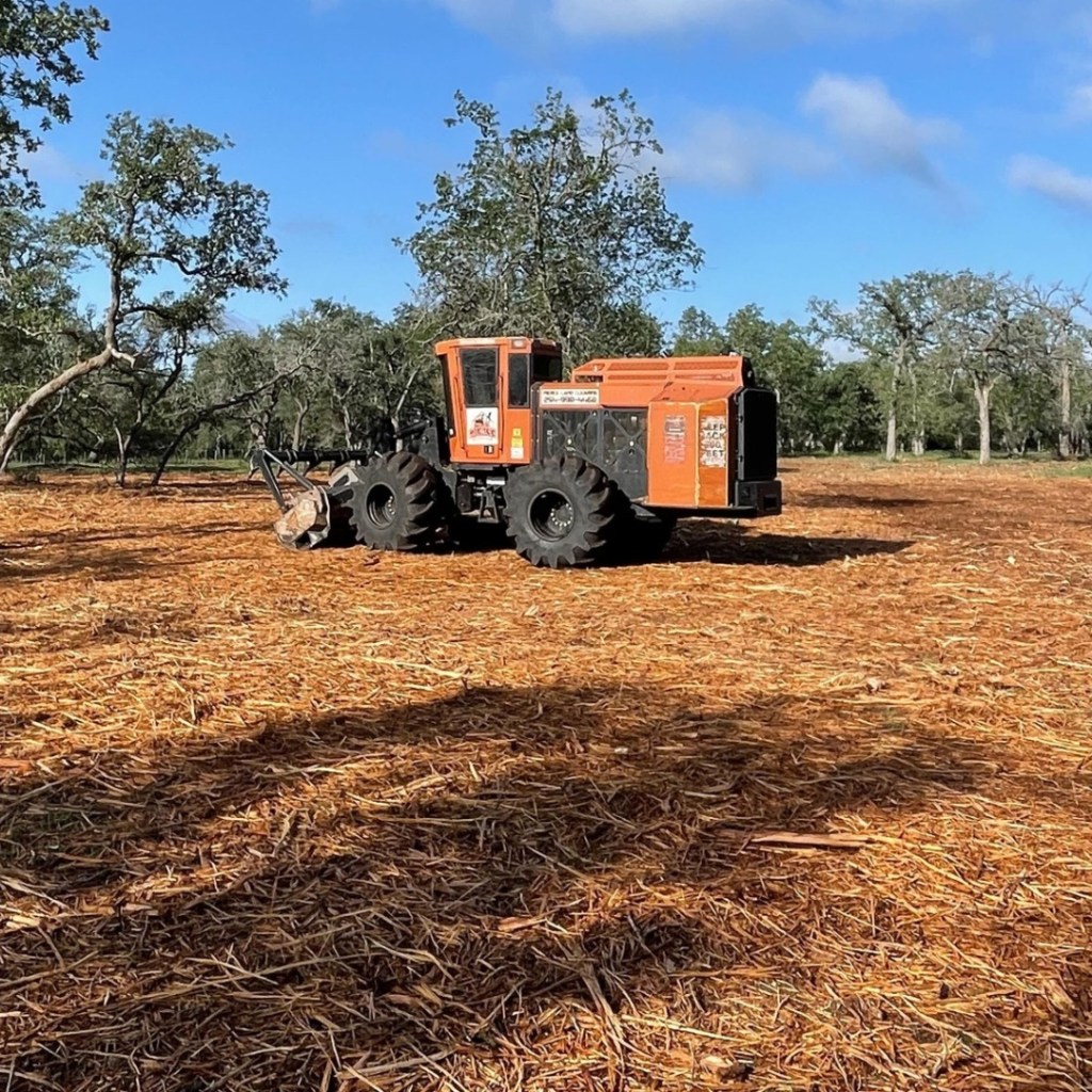 Land Clearing 7