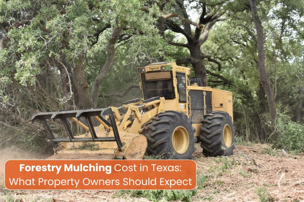 Forestry Mulching Cost in Texas