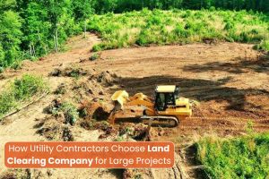 Land Clearing Company