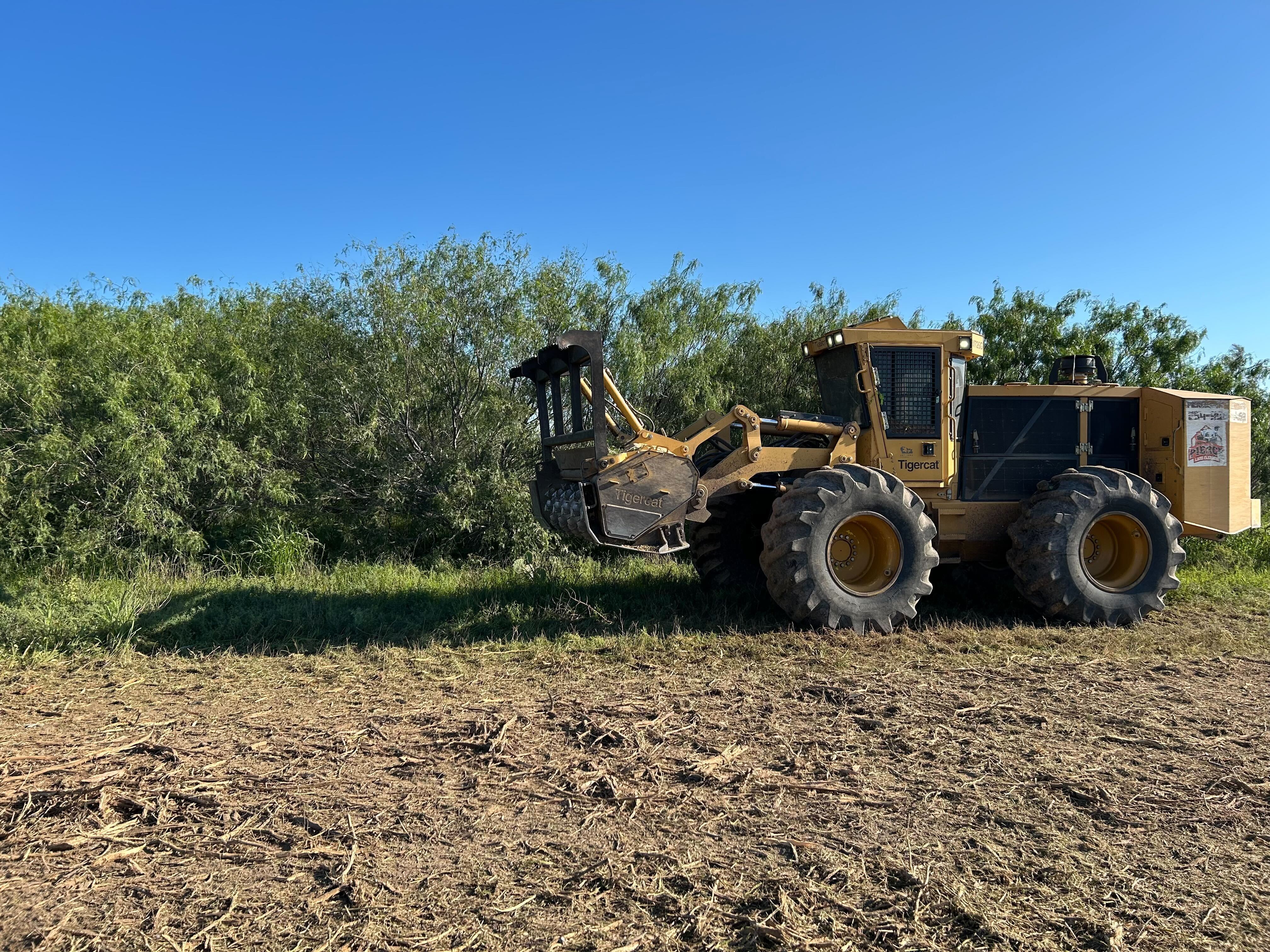 Tigercat M726G clearing brush in Brownsville TX