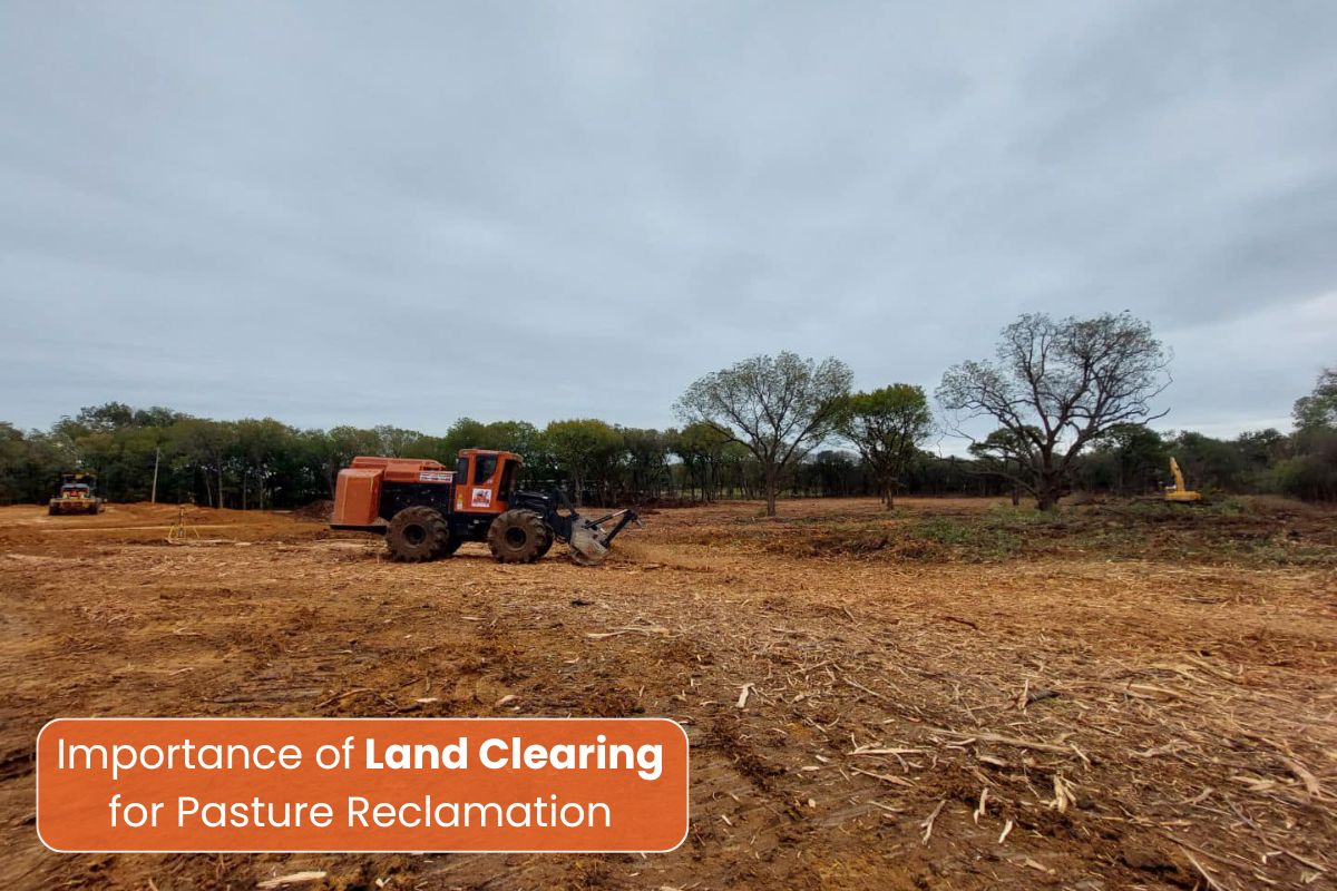 Land Clearing