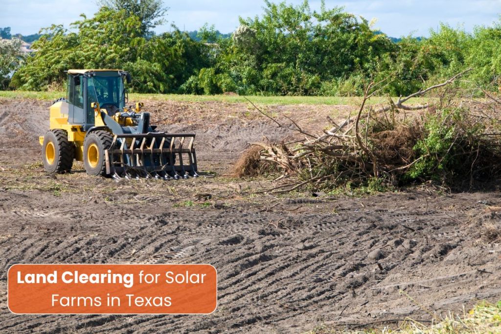 Land Clearing for Solar Farms