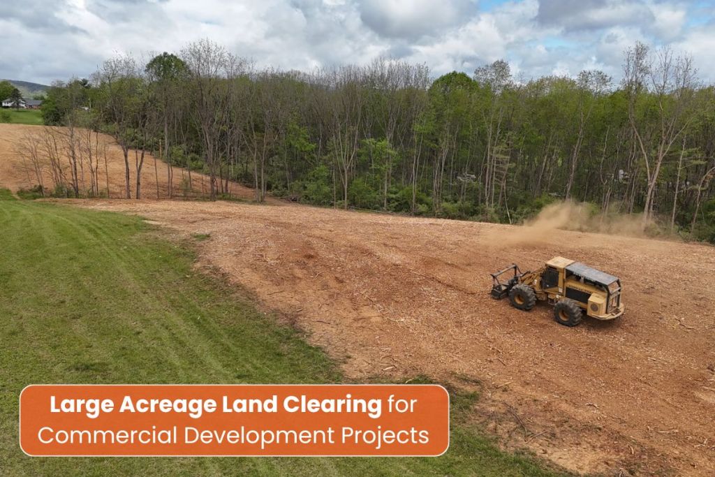 Land Clearing