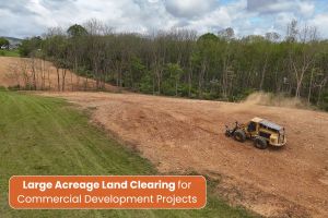 Land Clearing