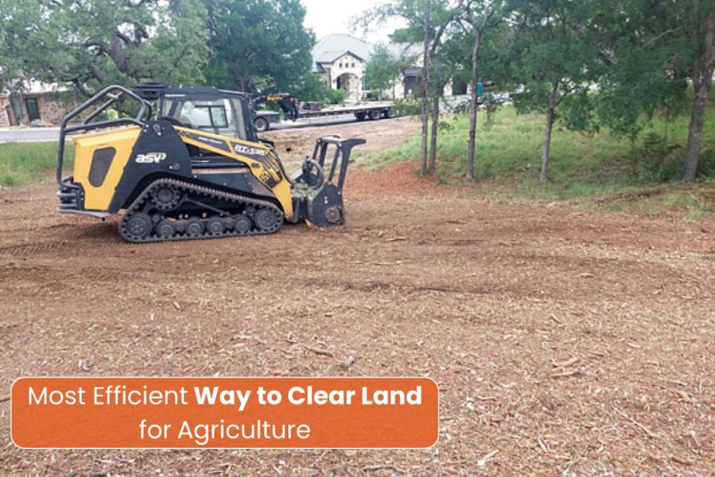 Clear Land for Agriculture