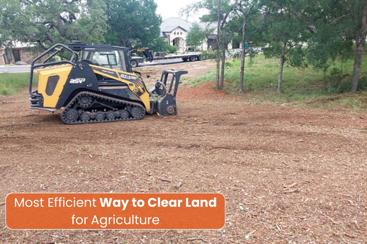Clear Land for Agriculture