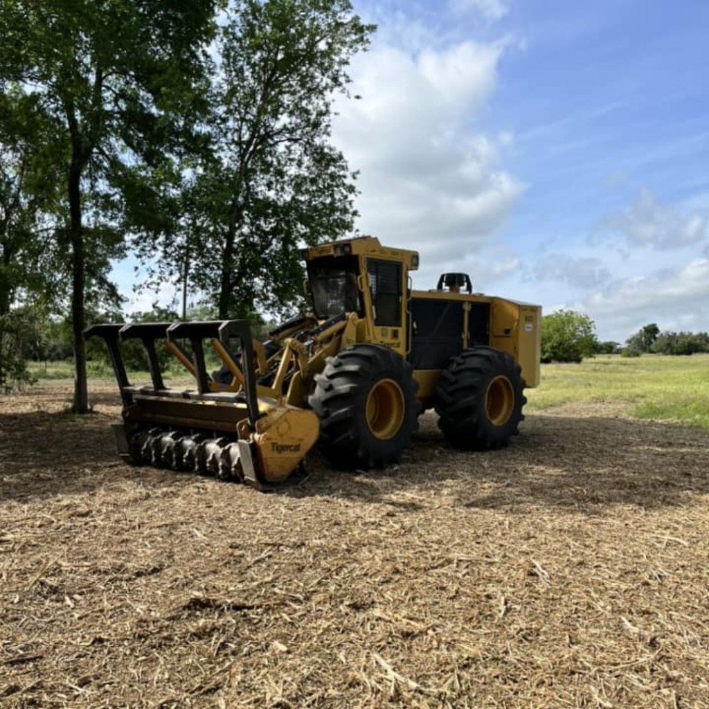 Forestry Mulching 9