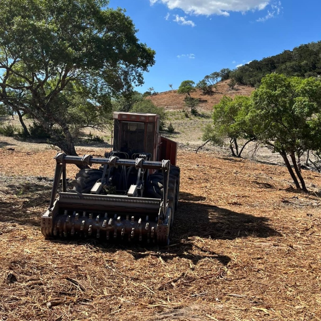 Forestry Mulching 4