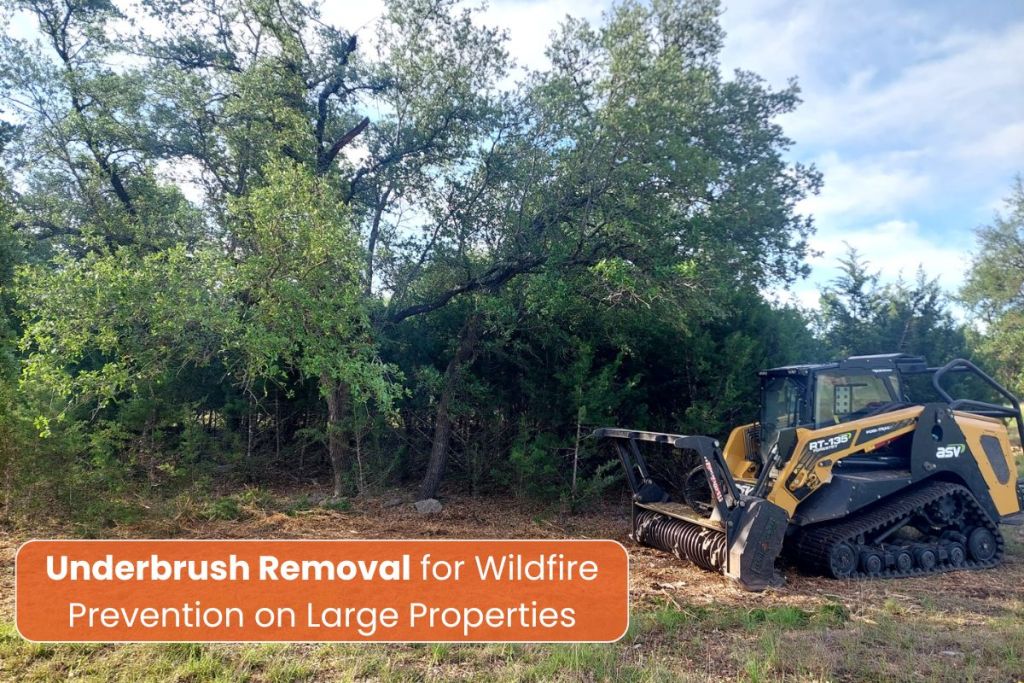 Underbrush Removal