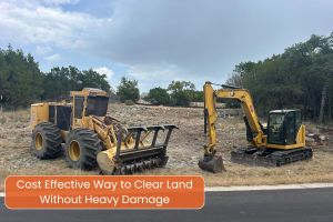 Cost-Effective Way to Clear Land